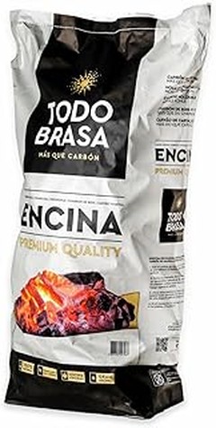 Errores frecuentes al usar carbón vegetal de encina en barbacoas