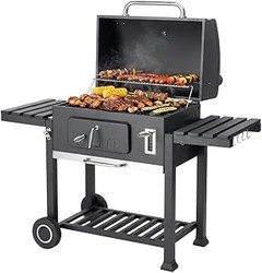 Todo lo que necesitas saber para elegir una barbacoa de carbón