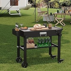 Opiniones de usuarios sobre planchas para exterior con carro