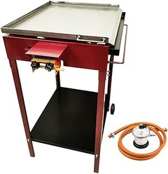Aprende a cocinar recetas irresistibles en tu plancha de gas exterior