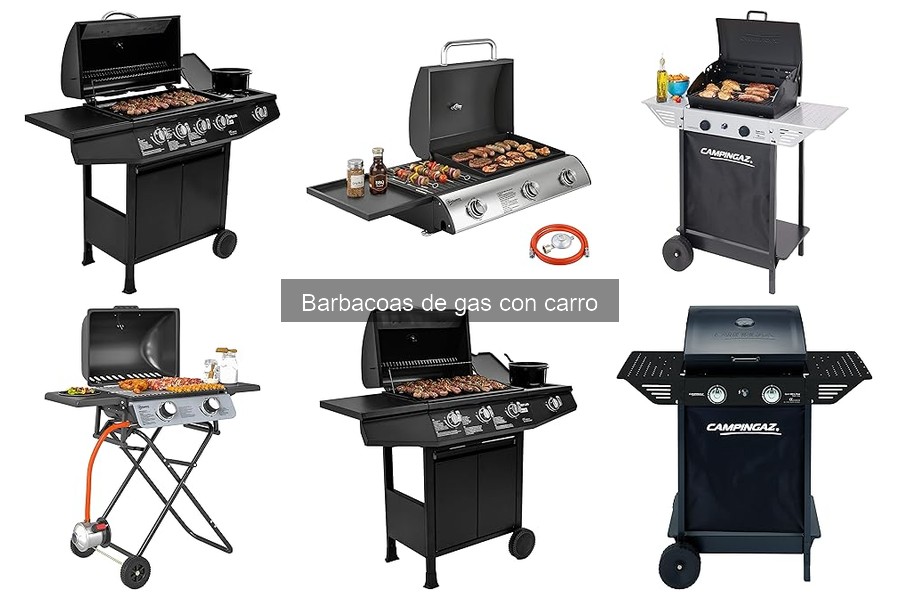 Accesorios imprescindibles para barbacoas de gas con carro