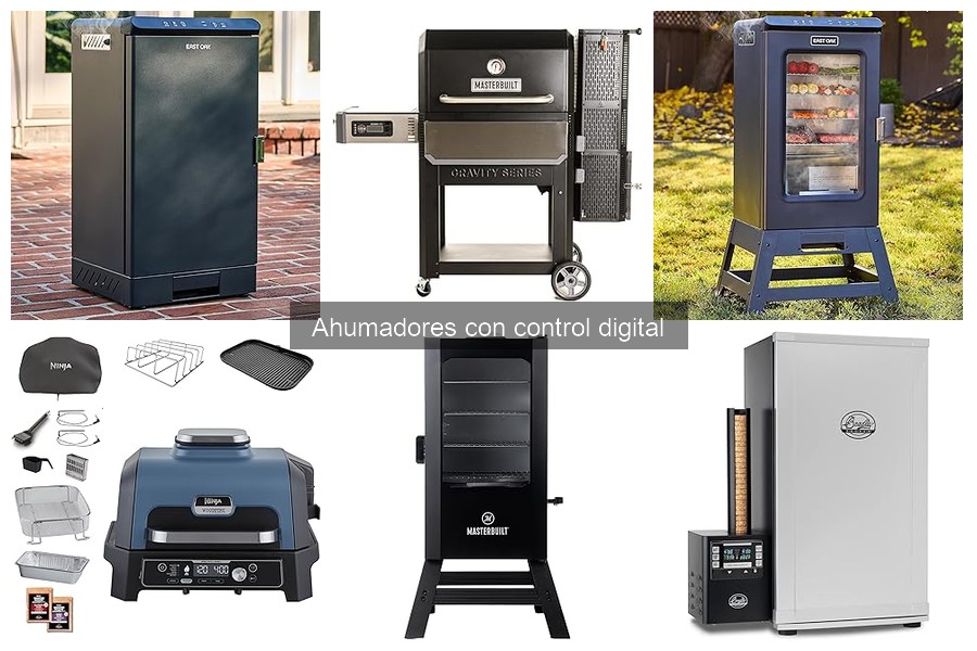 Alternativas a Ahumadores con Control Digital: Mejores Opciones