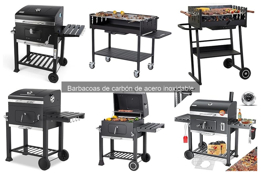 Alternativas a Barbacoas de Carbón de Acero Inoxidable