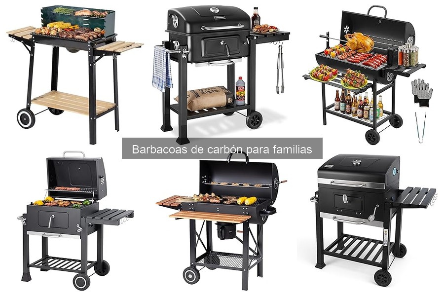 Alternativas a barbacoas de carbón para familias