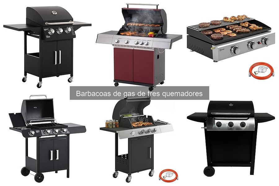 Alternativas a barbacoas de gas de tres quemadores