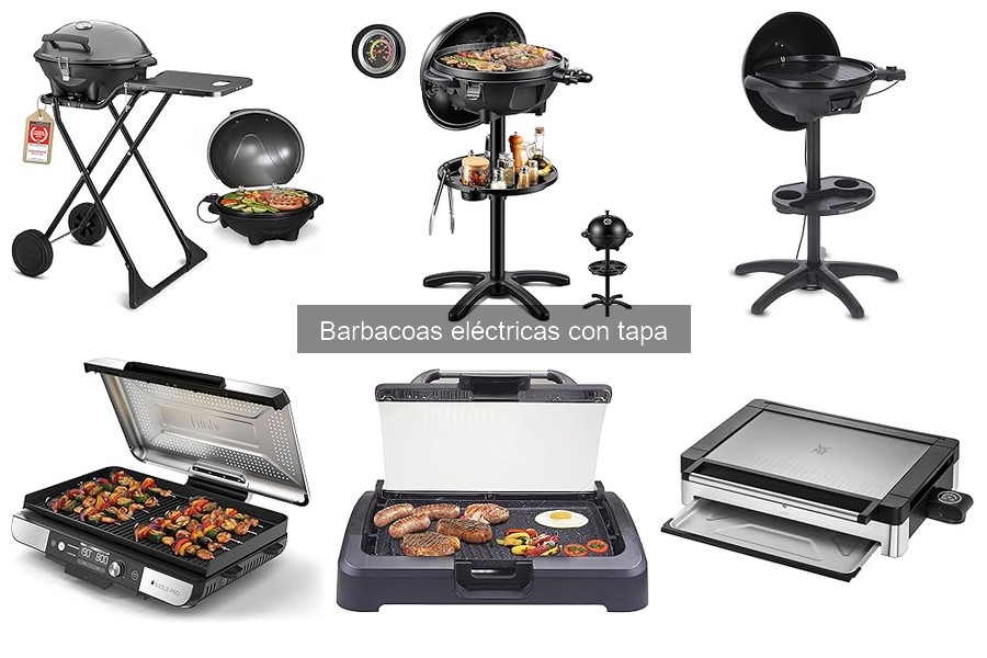 Alternativas a barbacoas eléctricas con tapa para asar al aire libre