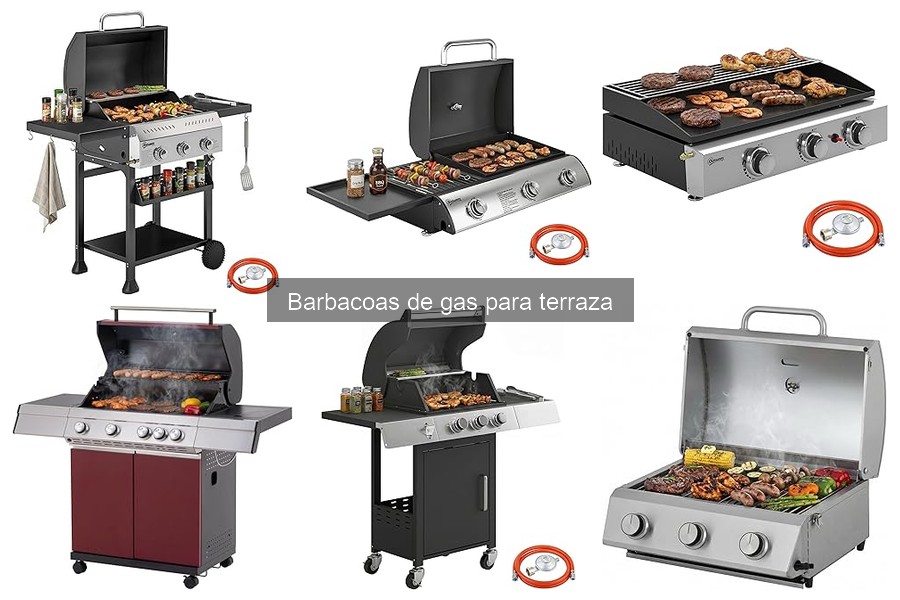 Alternativas a las Barbacoas de Gas: Opciones Para Cocinar