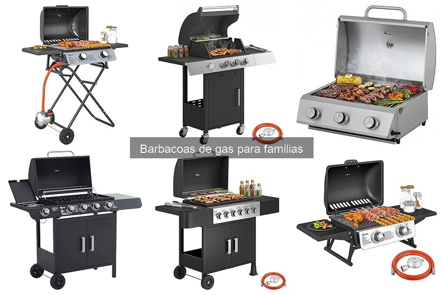 Alternativas a las Barbacoas de Gas para Cocinar Carne