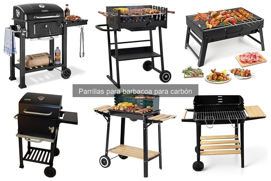 Alternativas a las Parrillas de Carbón para Asar Carne