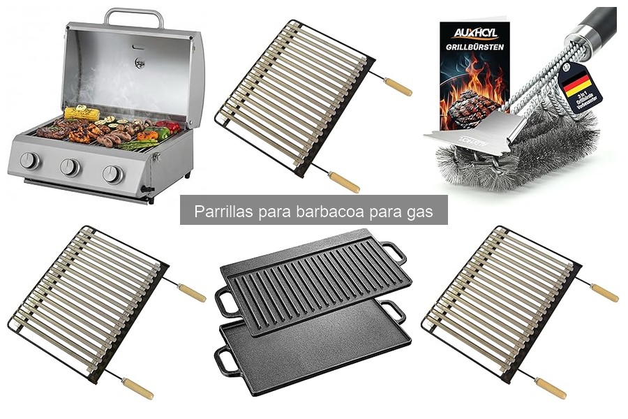 Alternativas a las parrillas de gas: ¿qué elegir?