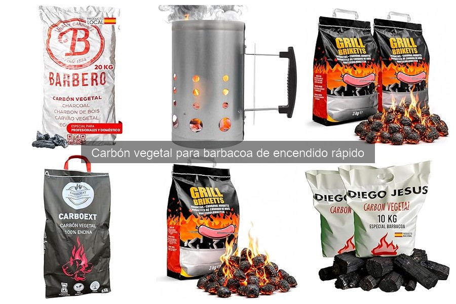 Alternativas al carbón vegetal de encendido rápido para barbacoas