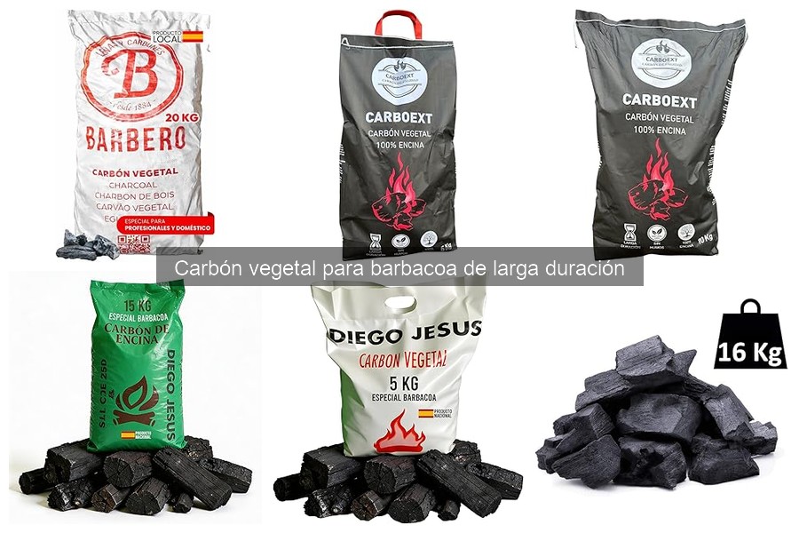 ** Alternativas al Carbón Vegetal de Larga Duración para Barbacoa