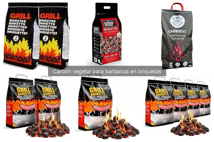 Alternativas al carbón vegetal en briquetas para barbacoa