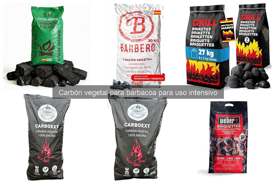 Alternativas al carbón vegetal para barbacoa: mejores opciones