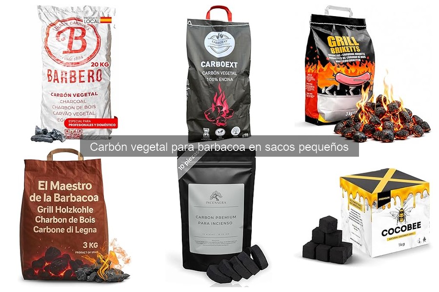 Alternativas al carbón vegetal para barbacoa: opciones efectivas