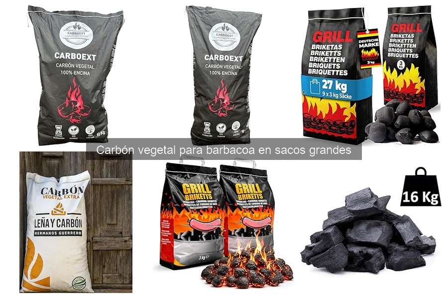 Alternativas al carbón vegetal para barbacoas – Opciones útiles