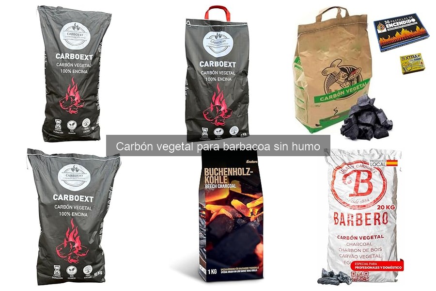 Alternativas al carbón vegetal sin humo para barbacoas