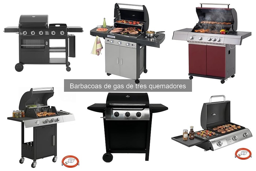 Barbacoas de gas de tres quemadores: características y ventajas