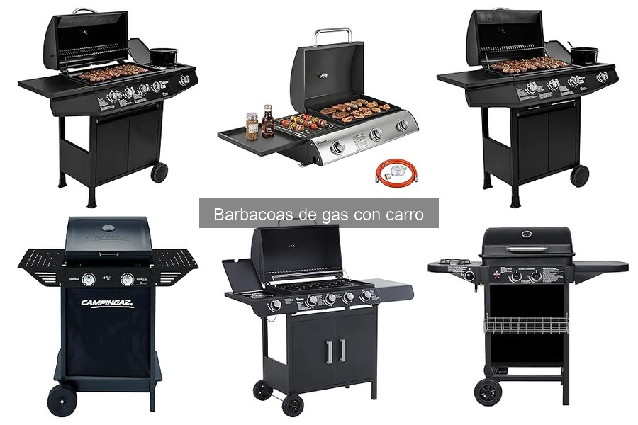 Beneficios de usar una barbacoa de gas con carro para reuniones