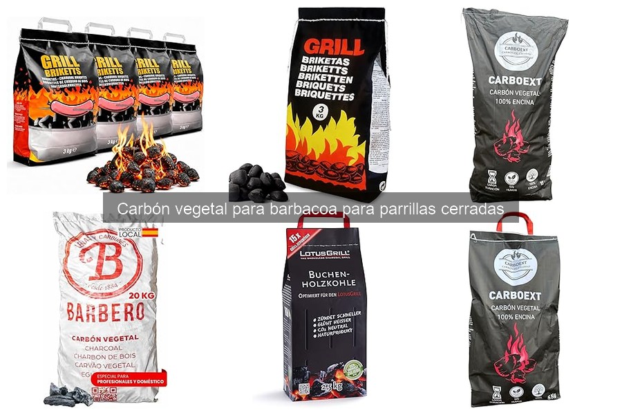Características del Mejor Carbón Vegetal para Barbacoa
