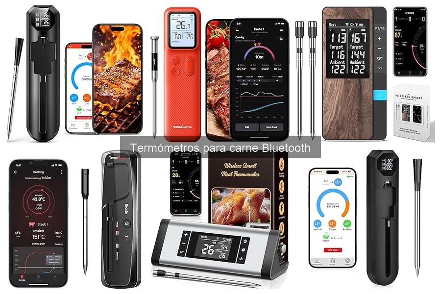Características esenciales de un termómetro para carne Bluetooth