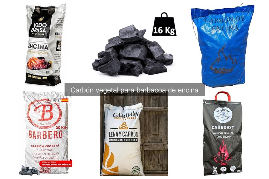 Carbón vegetal de encina: propiedades y beneficios