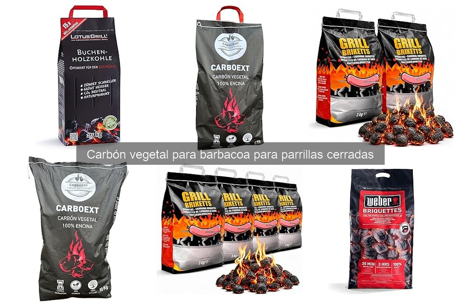 Carbón vegetal ecológico para barbacoa: ¿vale la pena elegirlo?