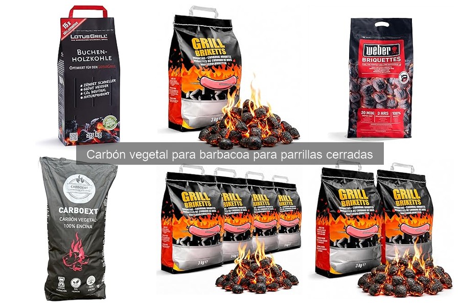 Cómo almacenar carbón vegetal para barbacoa y mantener su calidad