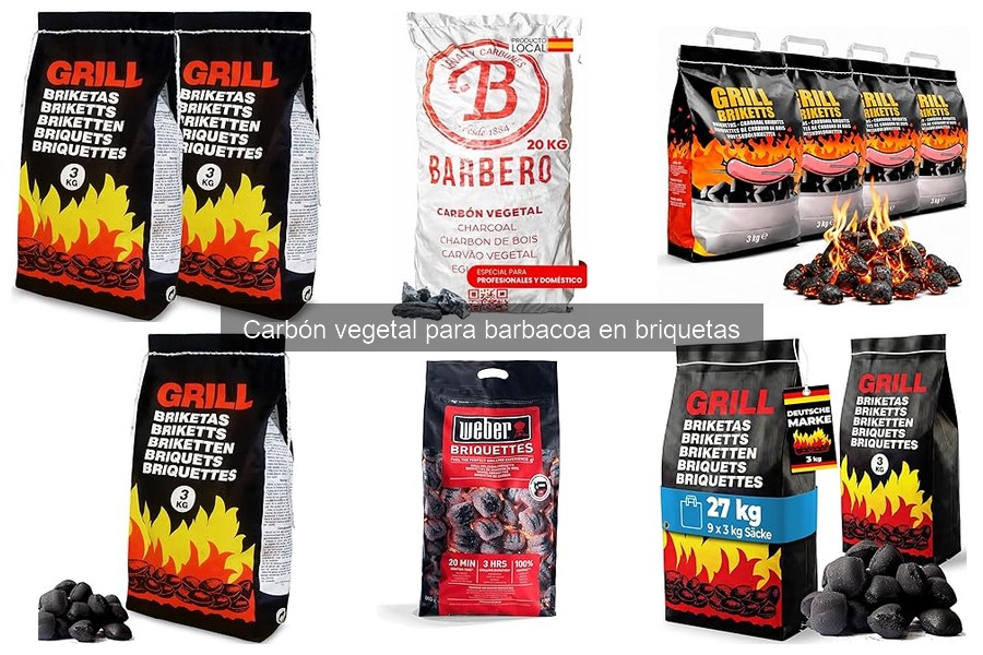 Cómo Elegir Carbón Vegetal en Briquetas de Calidad