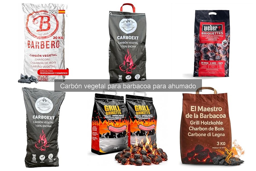 Cómo elegir carbón vegetal para barbacoa según la carne