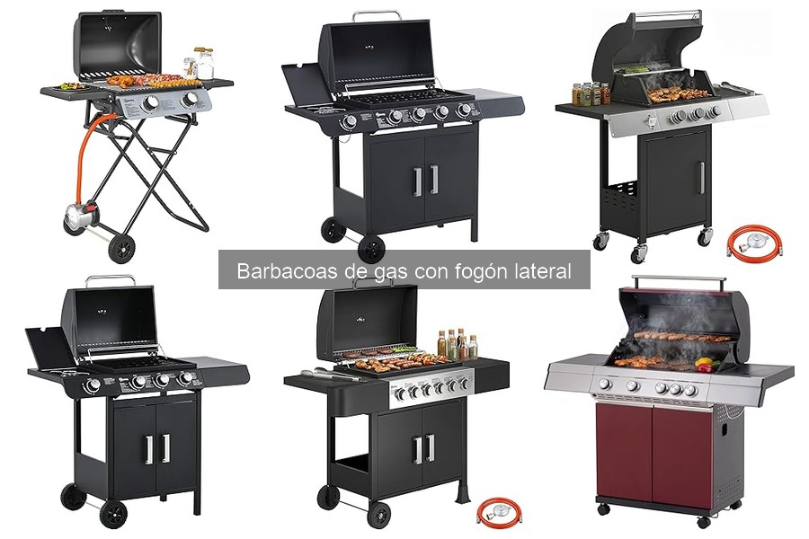 Cómo elegir la mejor barbacoa de gas con fogón lateral