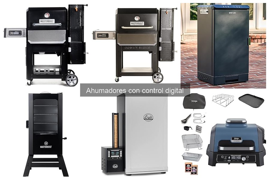 Cómo elegir un ahumador digital: guía de compra esencial
