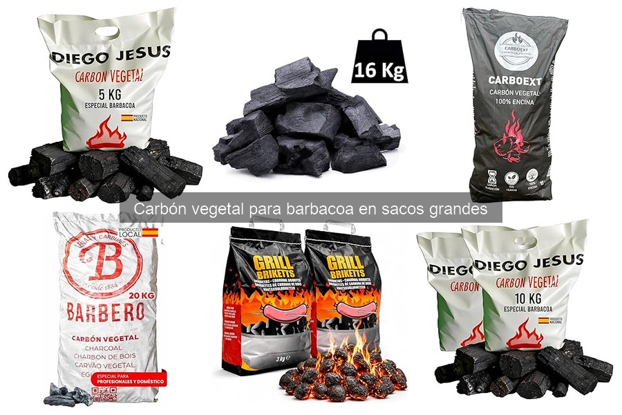 Cómo encender carbón vegetal de manera eficiente para barbacoa