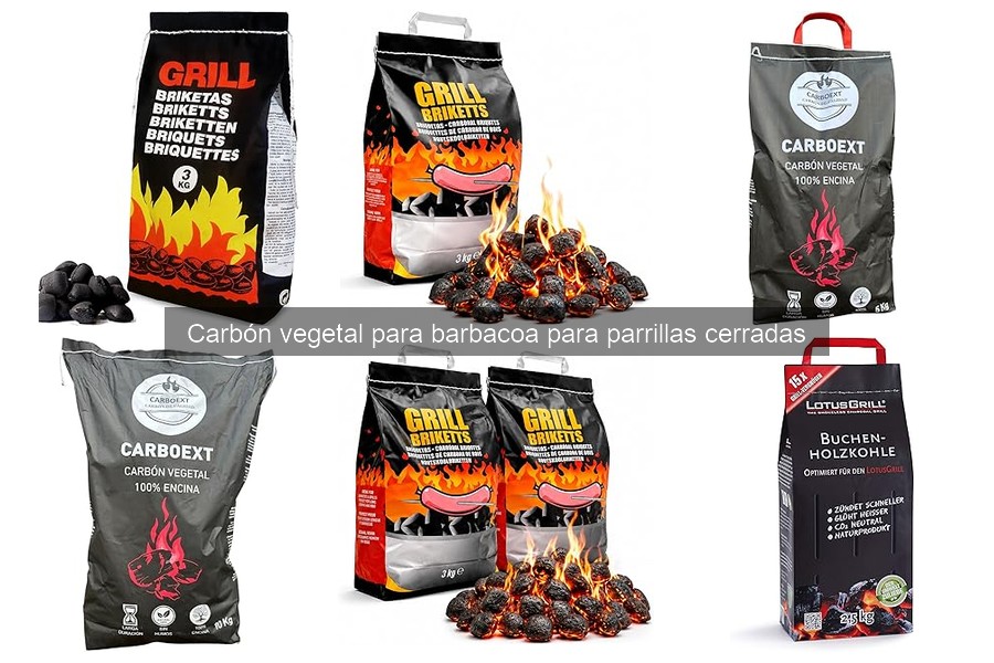 Cómo Encender Carbón Vegetal en Parrillas Cerradas