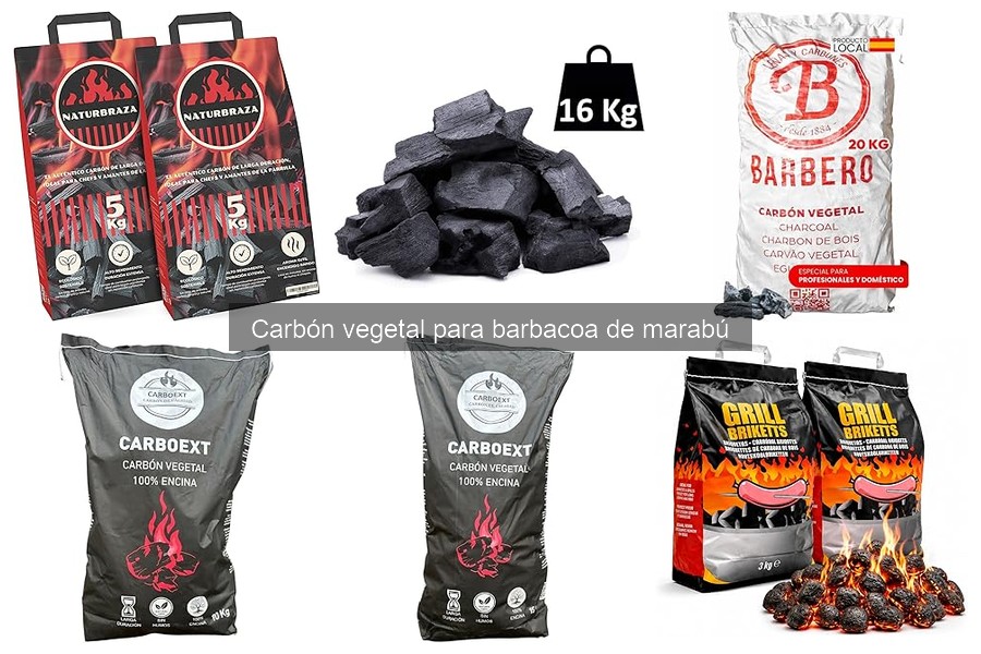 Cómo reciclar cenizas de carbón de marabú de forma sostenible