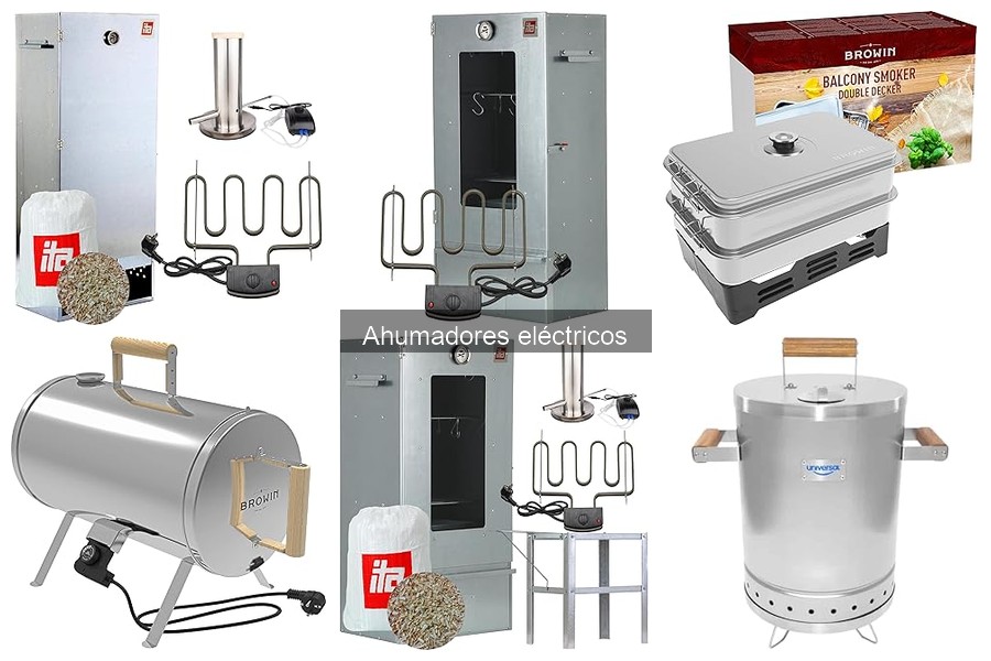 ** Cómo usar correctamente un ahumador eléctrico para carnes