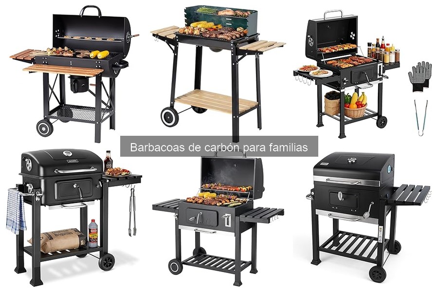 Cómo usar correctamente una barbacoa de carbón para familias