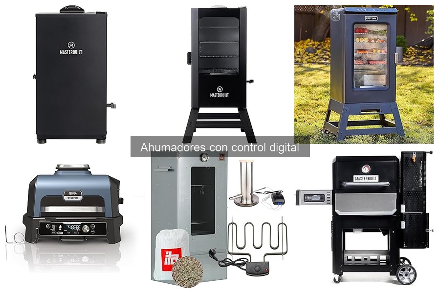Cómo usar un ahumador con control digital: guía práctica