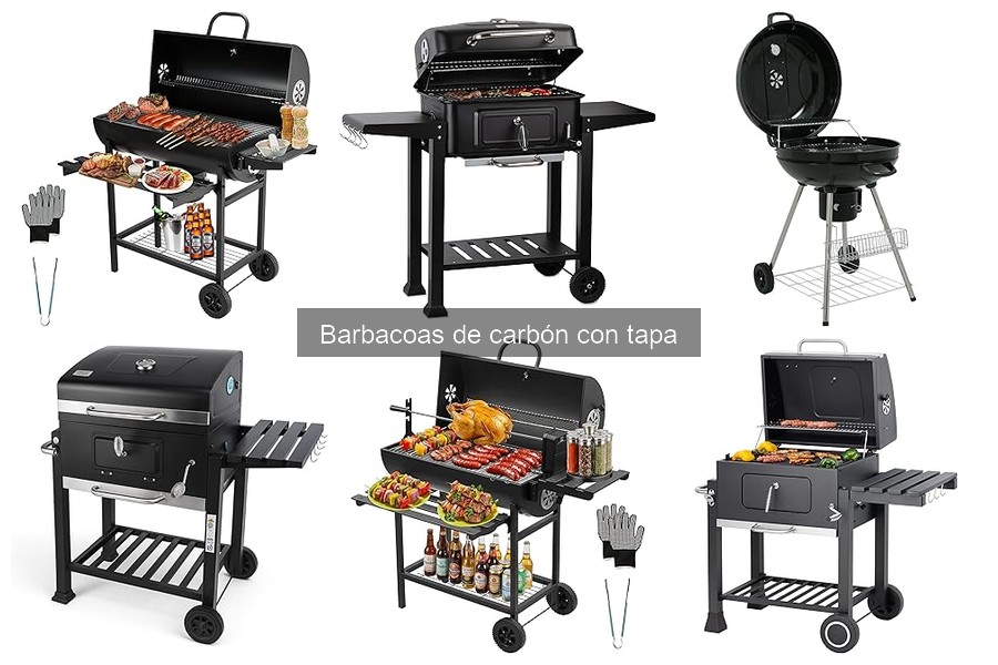 Comparativa: Barbacoas de Carbón con Tapa vs. Barbacoas de Gas