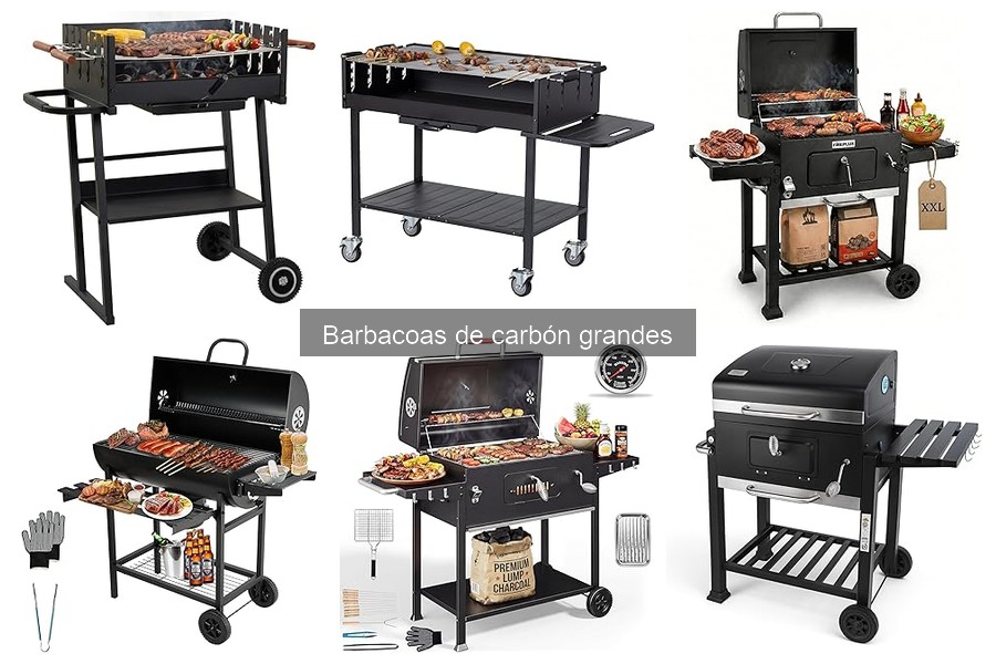 Comparativa: Barbacoas de Carbón Grandes vs Eléctricas