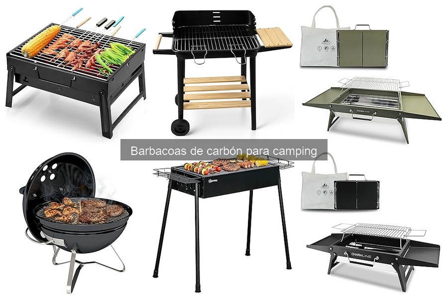 Comparativa: Barbacoas de carbón vs eléctricas para camping