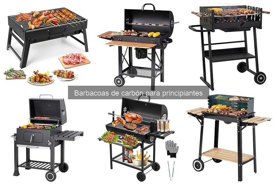Comparativa: Barbacoas de Carbón vs Eléctricas para Principiantes