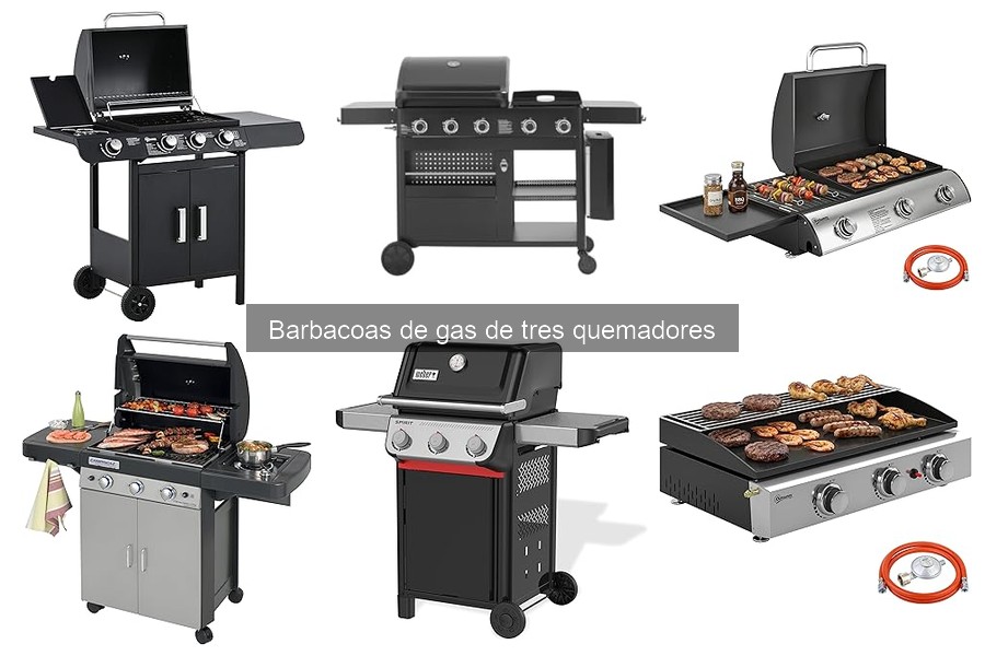 Comparativa: Barbacoas de Gas de Tres Quemadores vs Carbón