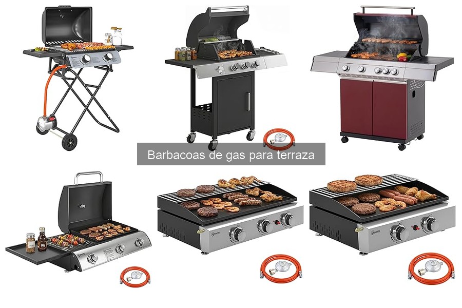 Comparativa: Barbacoas de Gas vs. Carbón para Terraza
