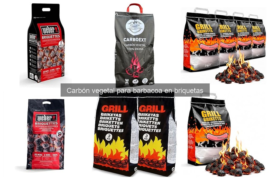 Comparativa: Briquetas vs. Carbón en Trozos para Barbacoa