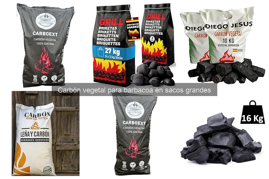 Comparativa: Carbón Vegetal vs. Briquetas para Barbacoa