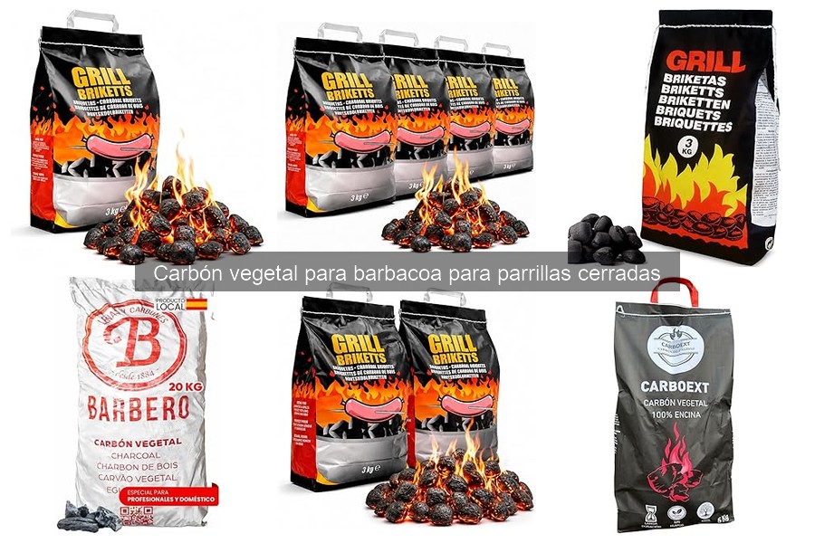 Comparativa: Carbón Vegetal vs Gas para Parrillas