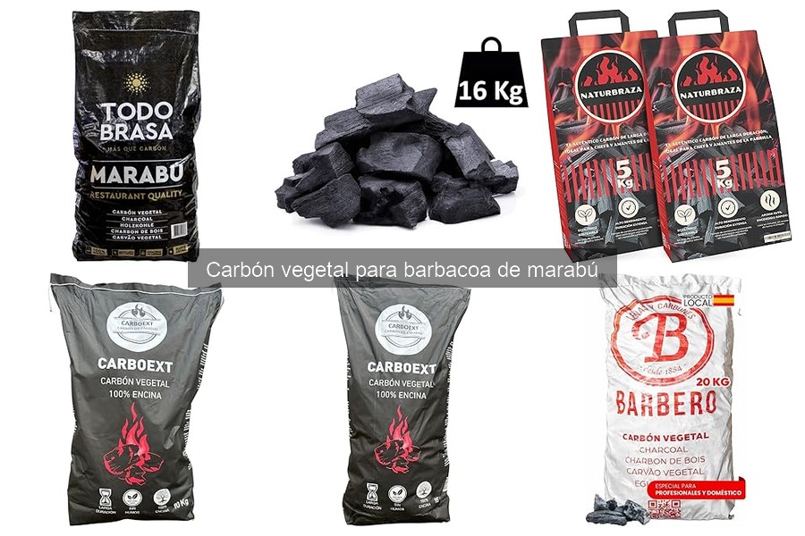 Comparativa de Marcas de Carbón Vegetal de Marabú