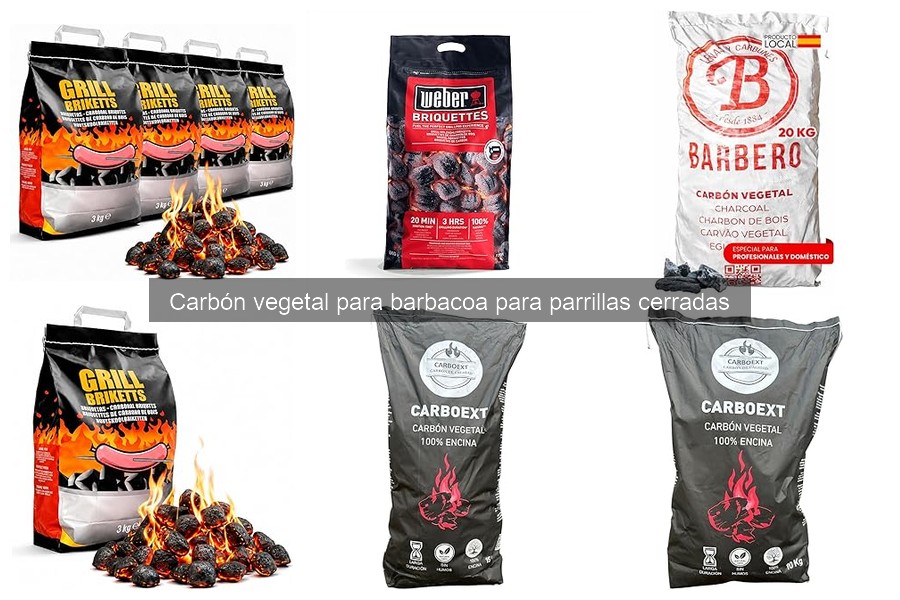 Comparativa: Mejor carbón vegetal para parrillas cerradas