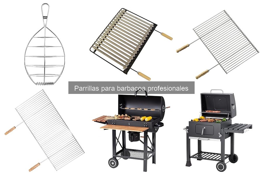 Comparativa: Parrillas de Gas vs. Carbón para Barbacoa